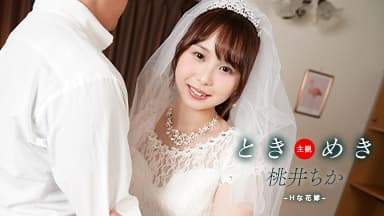 ときめき ~ Hな花嫁と新婚性活 ~
