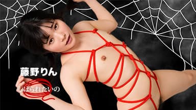 しばられたいの ~ ロープの食い込む快感 ~