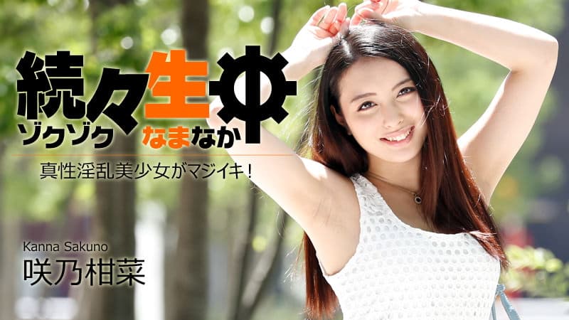 heyzo.com_3000_1417